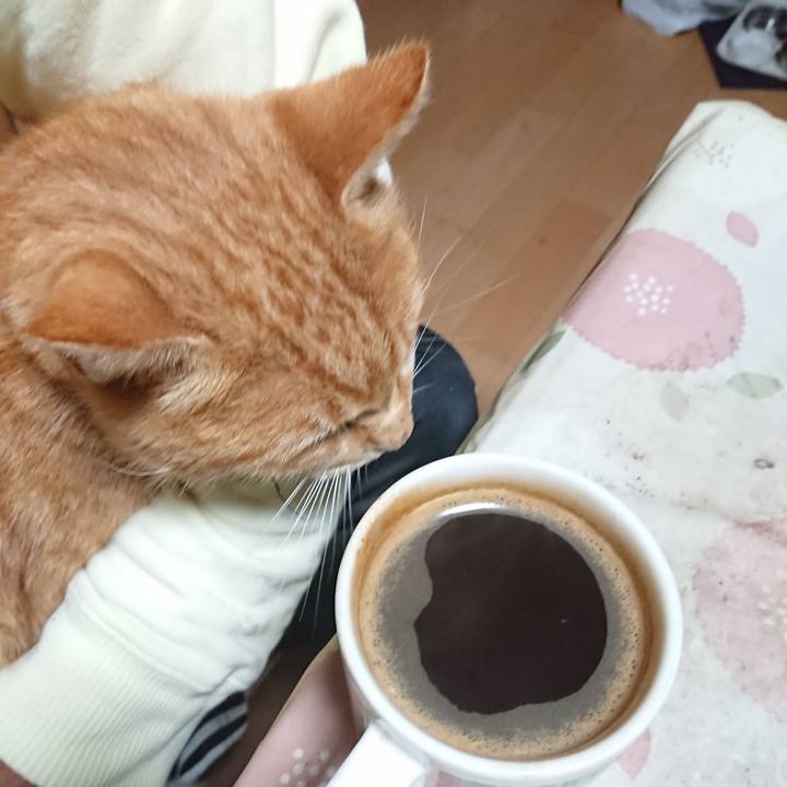 2b947c88 7181 4779 9ab1 cd952a2b7f5e 1602618784407