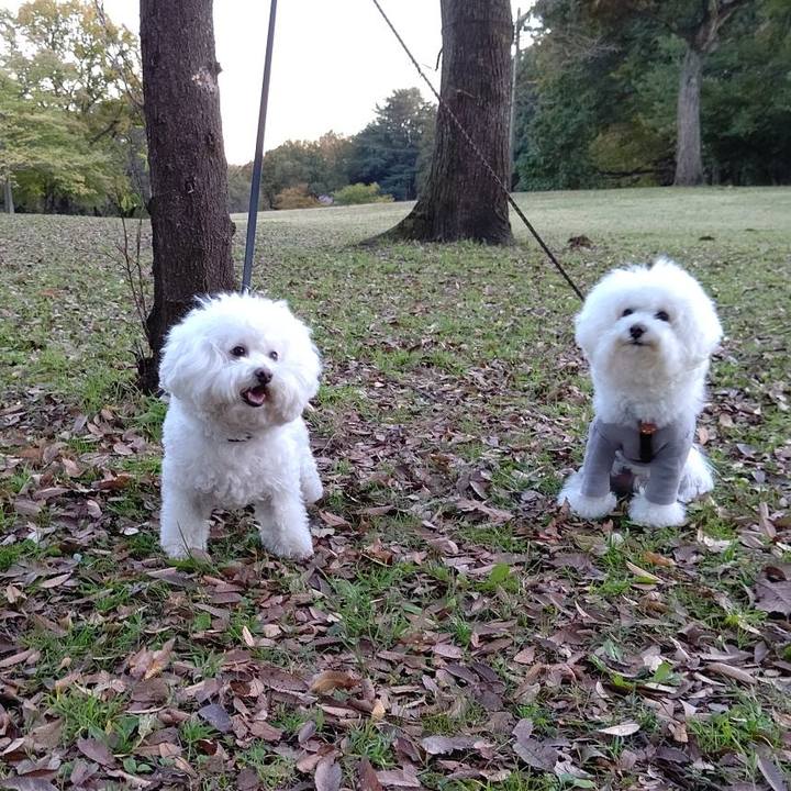 2b94a944 2197 4653 b3c6 c53ada8e13b0 1636972992085