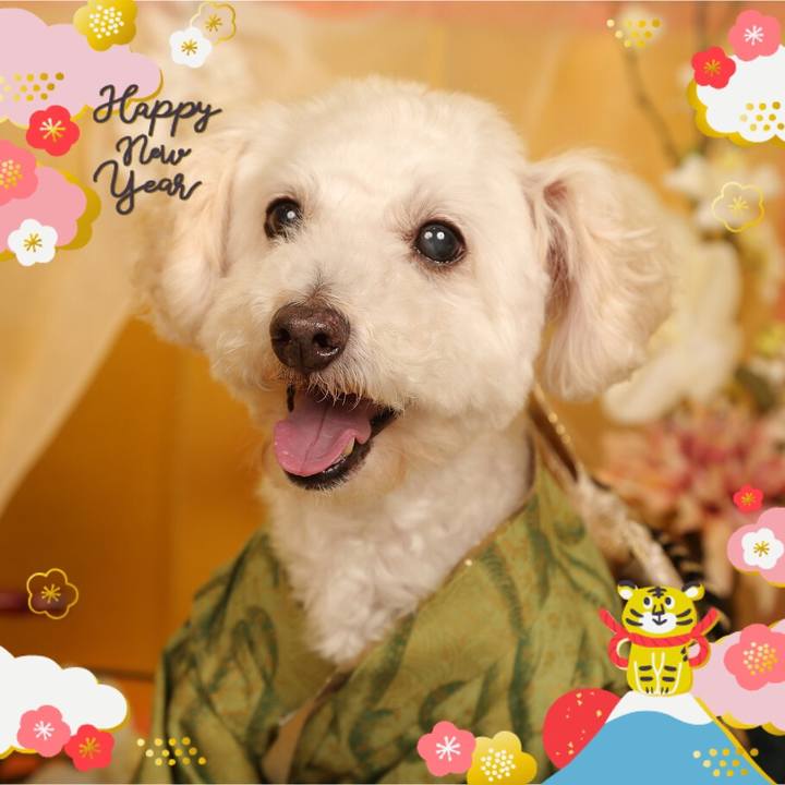 2b94aa3b ab50 46ad b920 463d2e103eb1 1641010149164