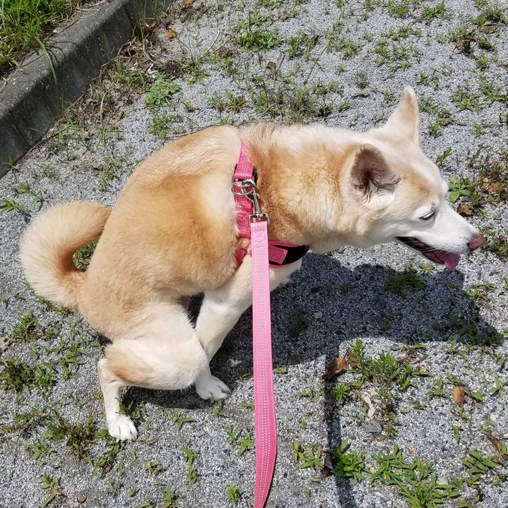 2b94d223 dffc 4290 a2a6 e9669d5941f2 1592282632186