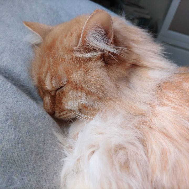 2b94f554 467a 4352 9193 0906bcb53e46 1678755831941