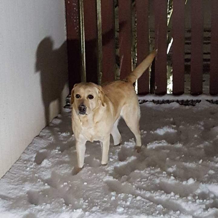 2b95074c f2f9 4b81 8470 62ca9852f942 1516791760745