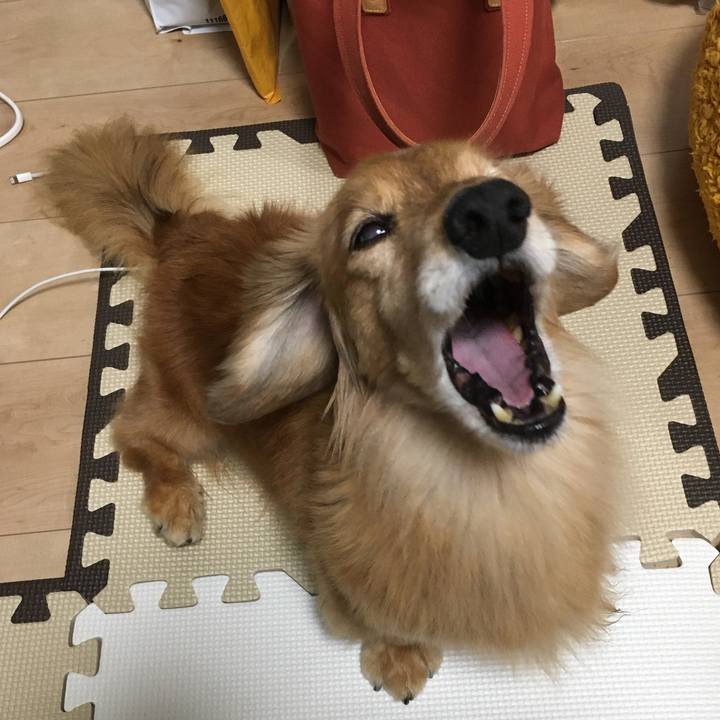 2b950ef9 182d 4fcf b57d f3c79d3a5ec4 1631879229065