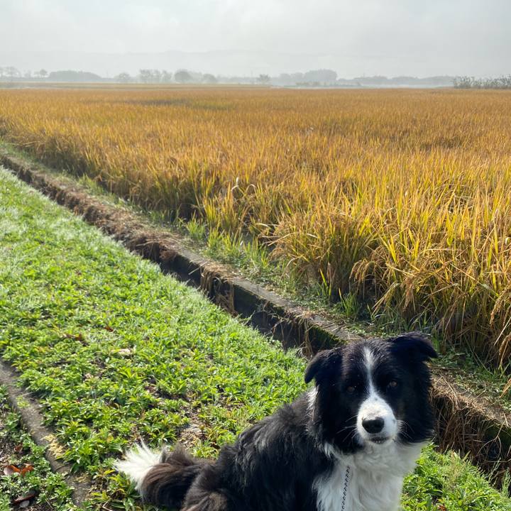 2b952a15 2a8d 4b81 81ae 4b60e9d0a142 1604365416648