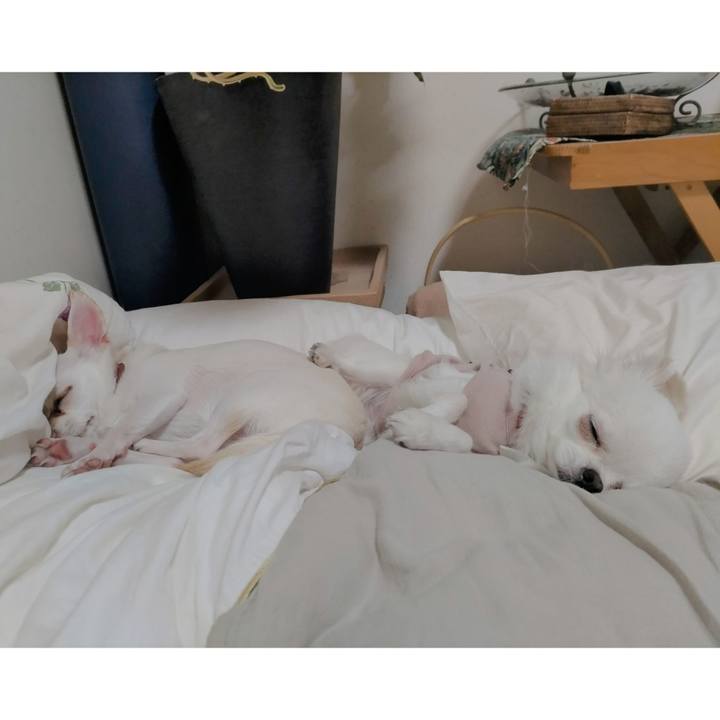 2b952b40 0257 430d 84b3 0961fa97ca81 1748955543391