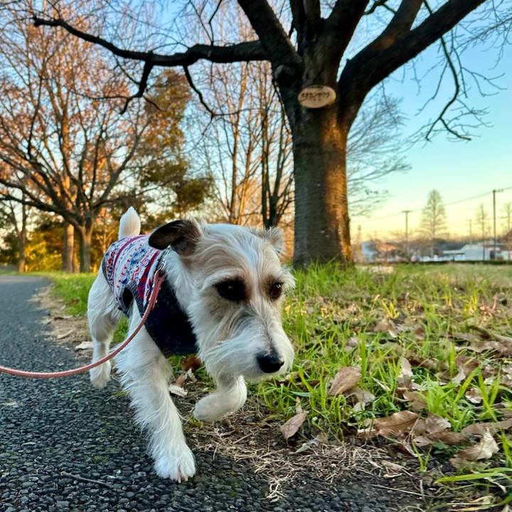 2b9535c4 84f6 4e07 be9b 9b49db933428 1703507256022