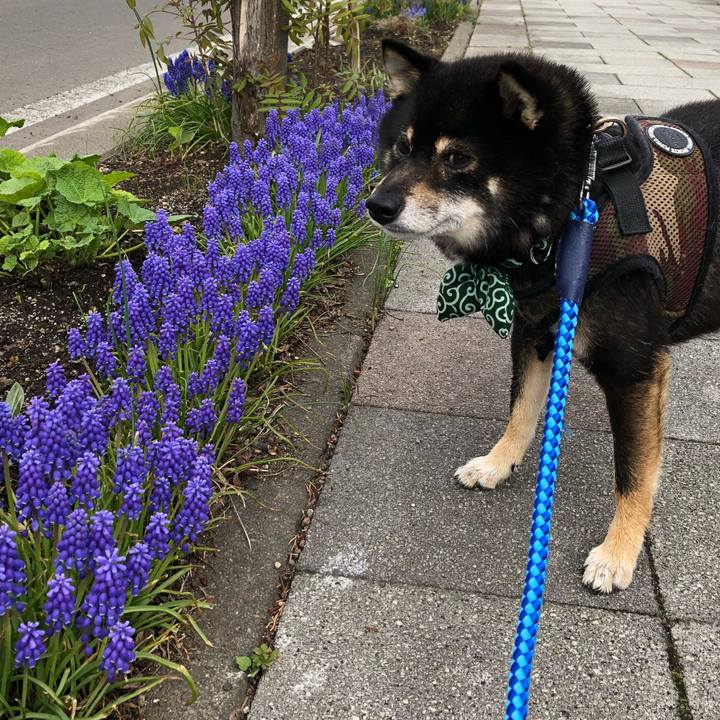 2b955a94 407d 44ea 94b7 63327ebcc49b 1525752721463