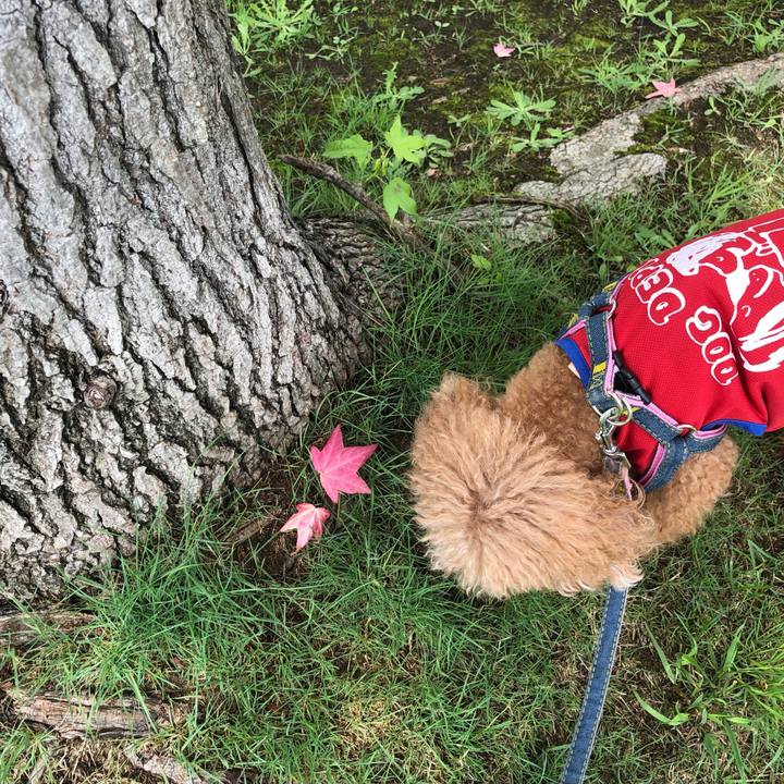 2b958766 c060 4ef8 98d0 0561e1737bc8 1629719573670