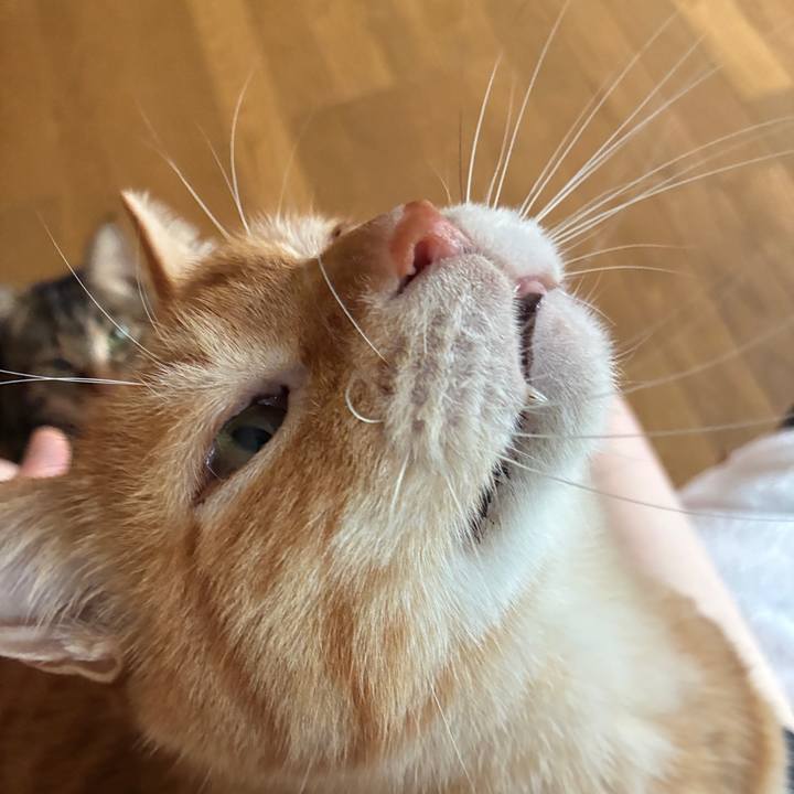 2b95a216 d19b 4221 959f 42471bfc7489 1774664261508