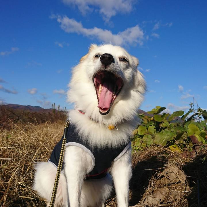 2b95cfa0 164a 464f 8cd6 8bd011845086 1542329846140