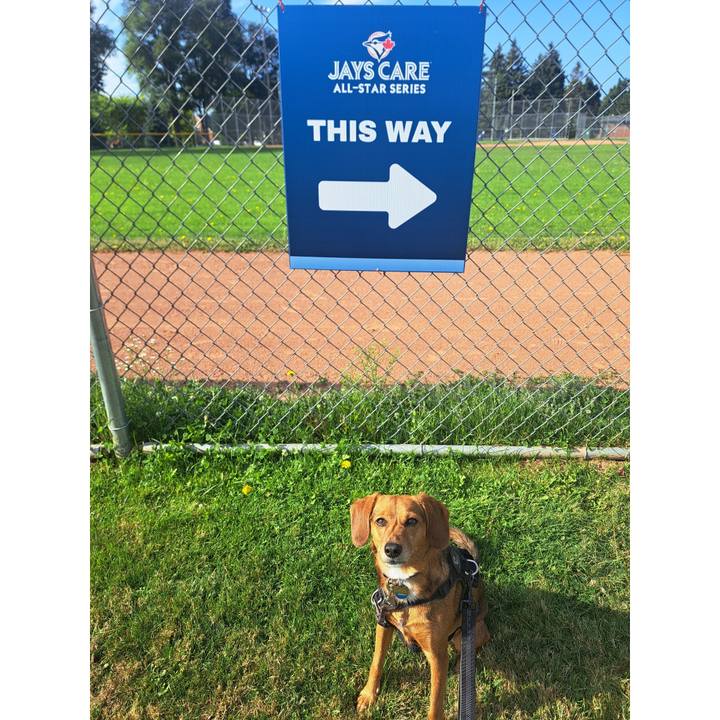 2b95d24c 7efa 432e b0ea 573ee549f173 1758145317962