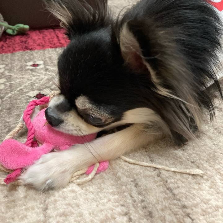 2b95d31b c33d 473d b2f4 df15718a3e8e 1616334512597