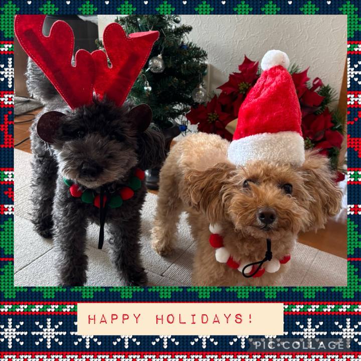 2b95efe6 5f34 49ca 8604 241584b3ec34 1735008492137