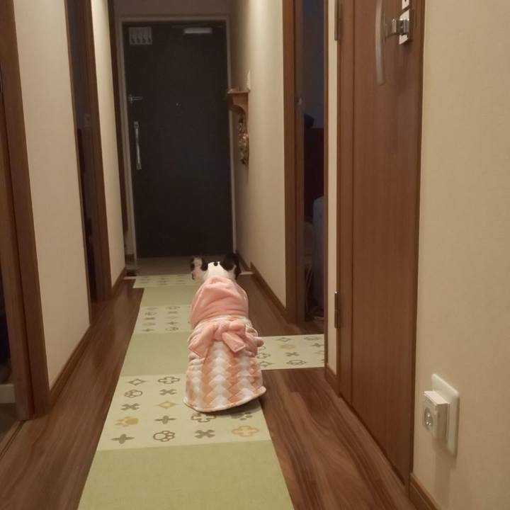 2b9603d0 5f55 47d5 bdb7 d0f3a1b92455 1630821338258