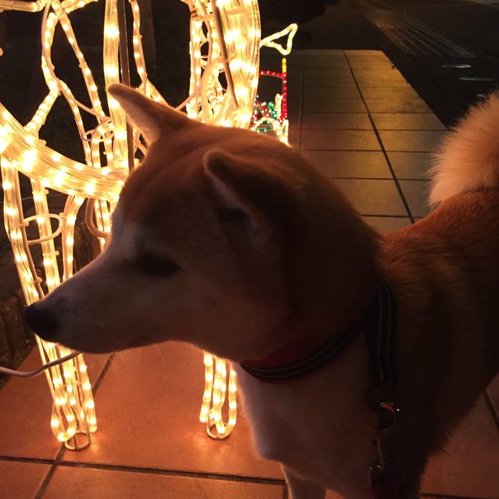 2b96145e edab 4db4 a984 4dfe311fc8a0 1513242952626