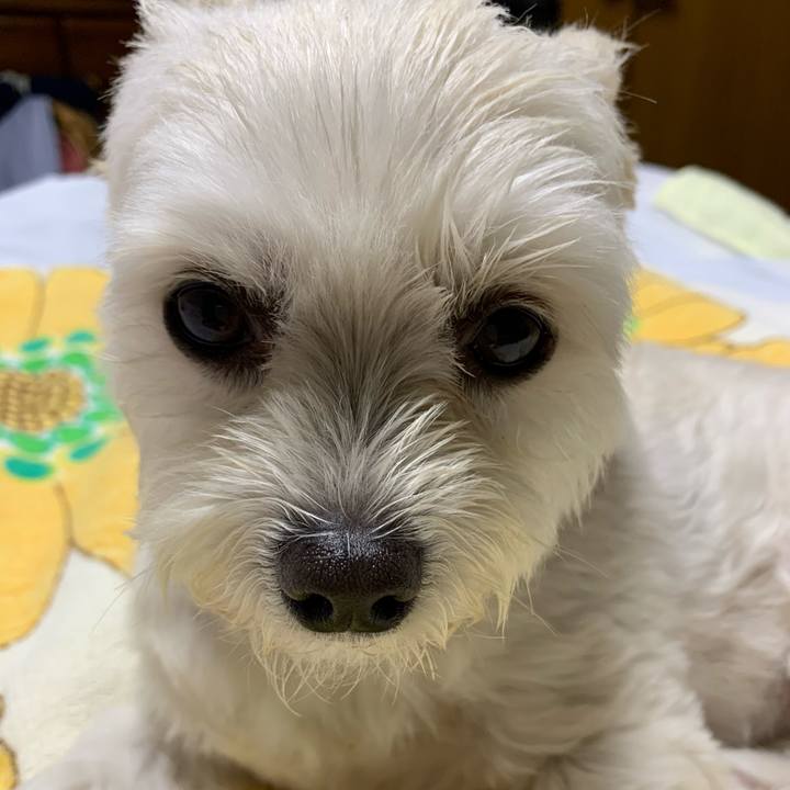 2b963d56 2a04 41d4 82bc 2b4ba157f4aa 1589722526232