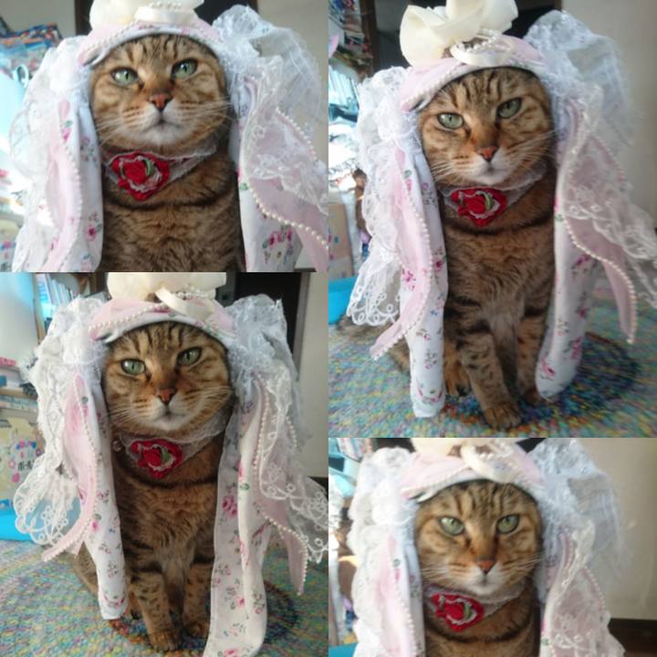 2b964d5f 3714 438d 84b9 748c4ee6ae25 1762986670102