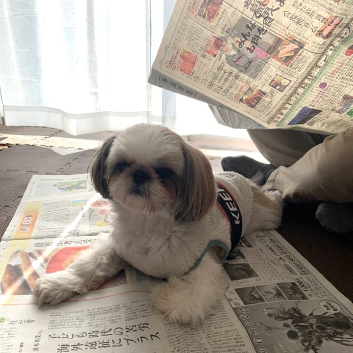 2b9675ea 58c8 43c5 855e 8f80e1fcd7c6 1637973638235