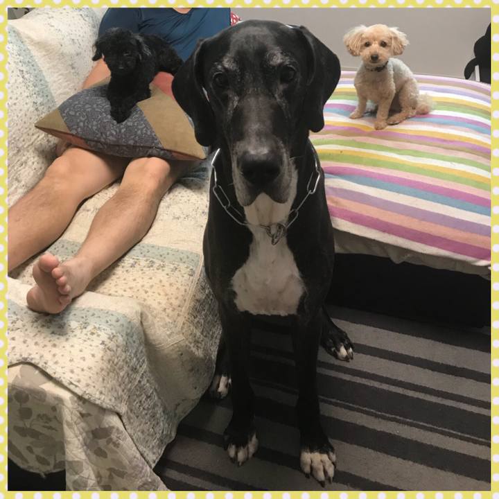 2b96eb3d 5988 4531 a02f c87c473cab6f 1530830608605