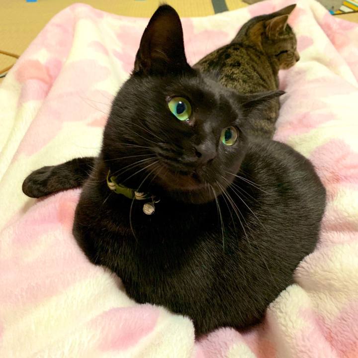 2b96f4af 32eb 490c be43 6800717a94b1 1549120497408