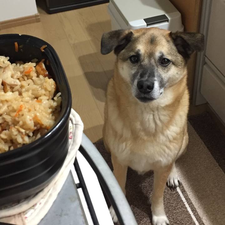 2b96f89d b537 4e15 9416 0a1d4294818b 1518773017015