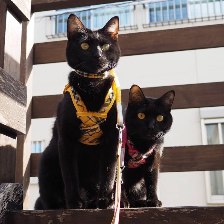 2b96fa9b 377c 430b aee2 88760a680c06 1546065296828