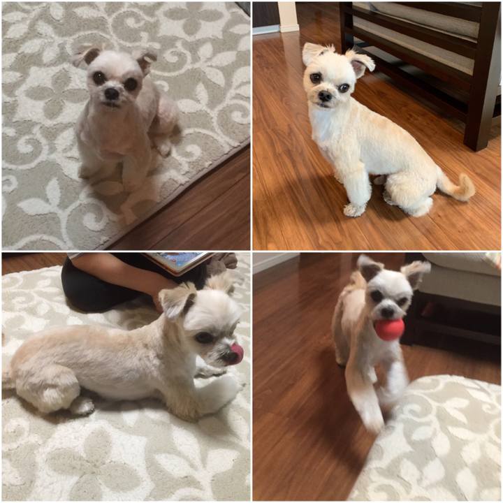 2b975c4b 7fa5 4724 8c6d 1ea6a2a05307 1555499091206