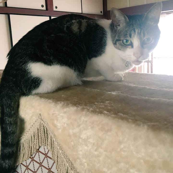 2b979d4d a8d0 4874 a158 e415f88cfb65 1526516095592