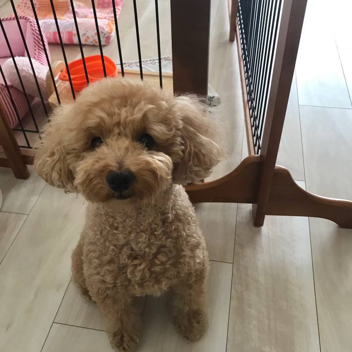 2b97cce8 bd72 48b9 89df ed2f61b8104f 1559199538968