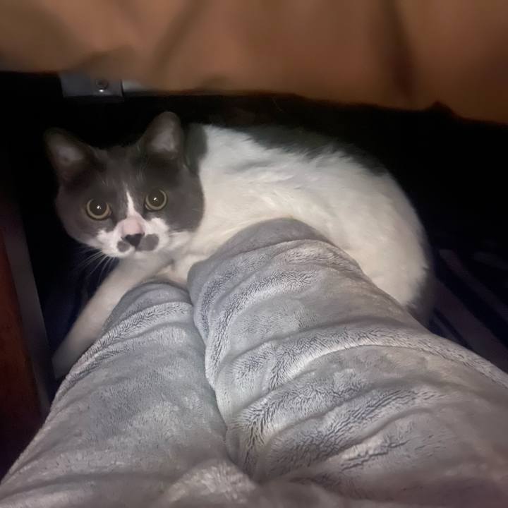 2b9814bd 54c1 4b14 977d 99c036fdb164 1676543994922