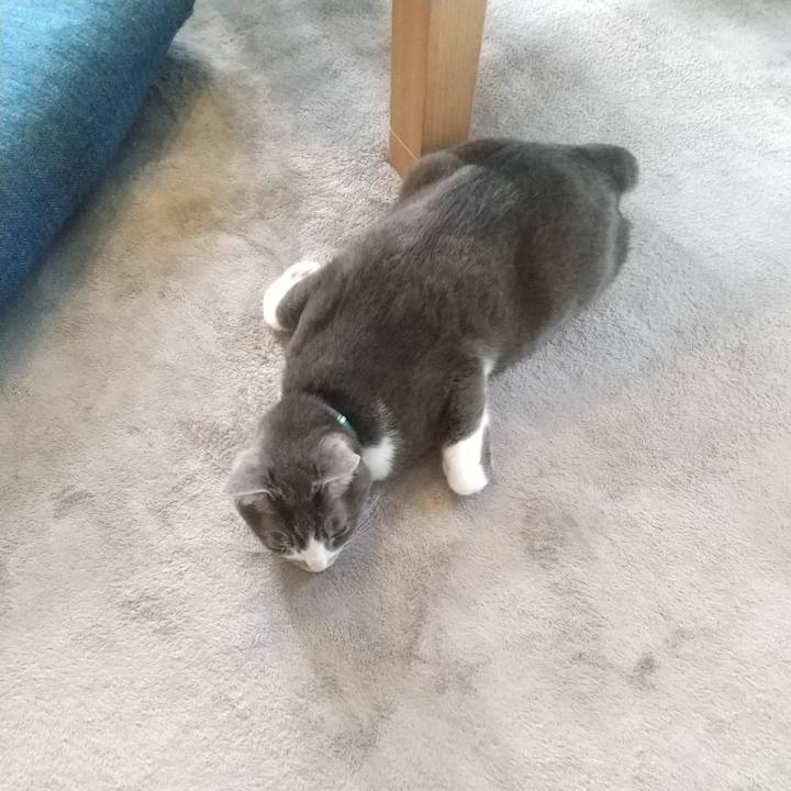 2b981bce f1ac 43f1 8881 4b9776366d7e 1620078862328