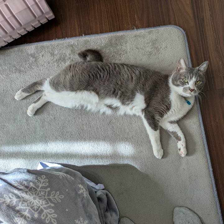 2b983fd4 e2e7 4737 922e 4dad7dd15953 1739424104307