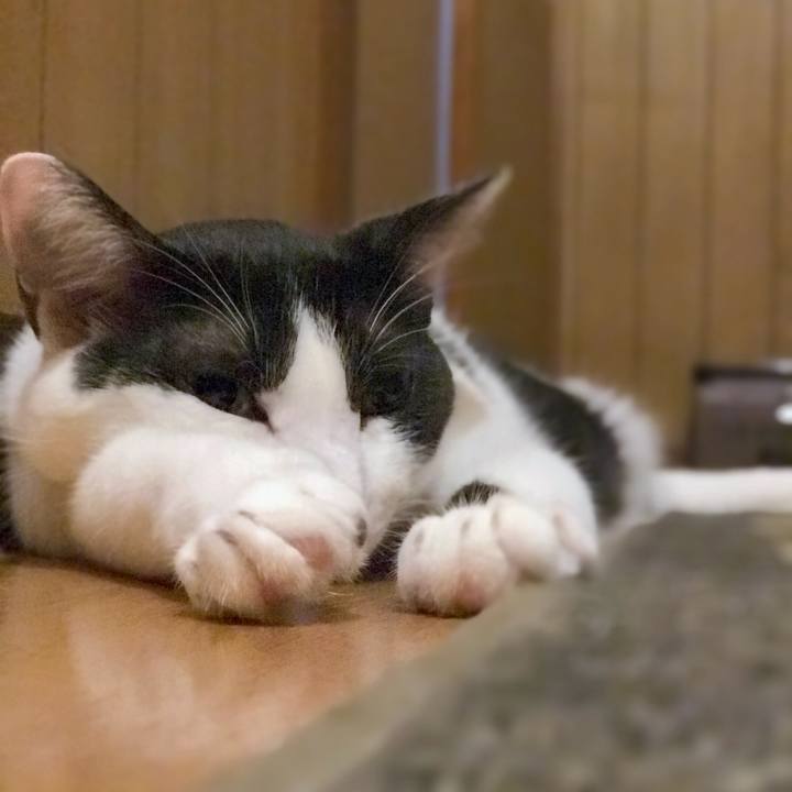 2b98635a afbc 4871 ad6c adfc090890cf 1535244470740