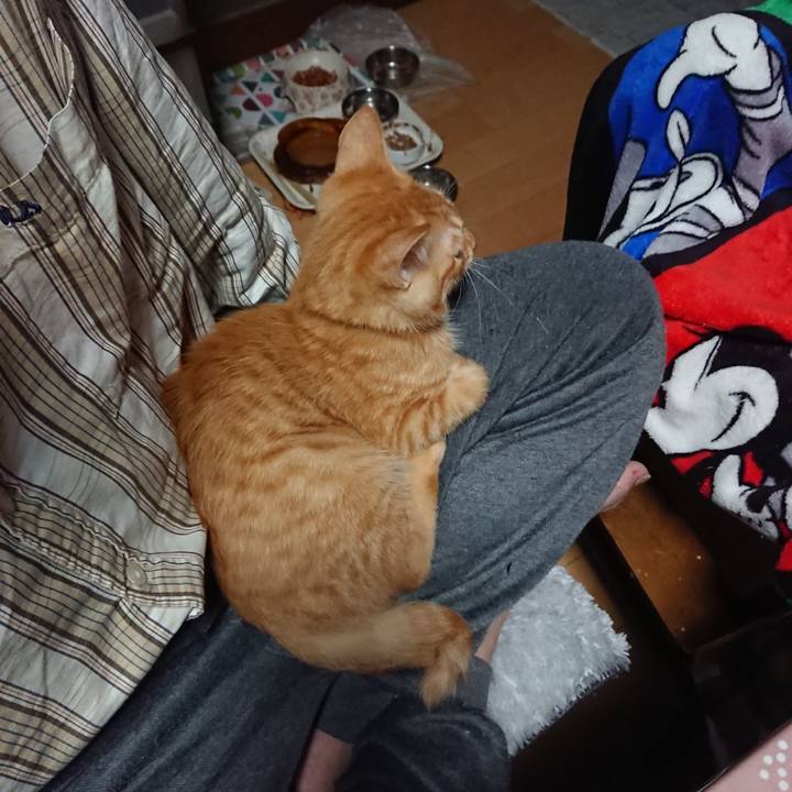 2b986b39 3162 411b 94c8 c2009ba64e3d 1633294317493