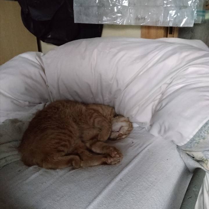 2b987961 a508 4362 bb00 5350fa7cac5f 1719095554445