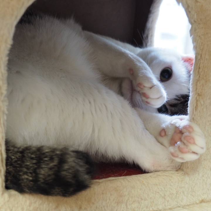 2b98b76a 8385 4fcc a68f dd523aba9fd0 1527639946239