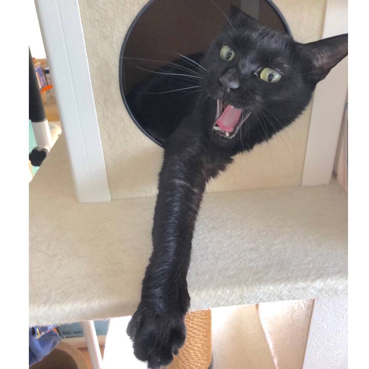 2b98ba0b bd61 484b 81e0 89a518c4c045 1530401384436