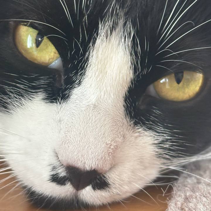 2b98d092 db91 4041 b456 86398a4ced52 1758936577806