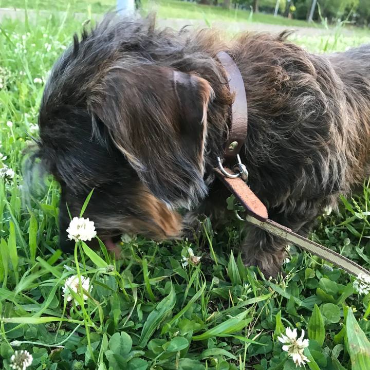 2b98fe6b 9b8a 43fd 8af9 3db0ef438793 1557667328800