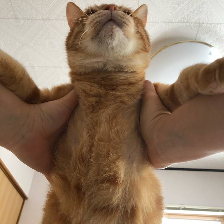 2b990c32 f737 4077 98a5 430dd21c71bb 1583535554541