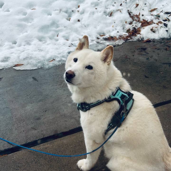 2b99277d 8183 465a 8844 e5749e007c9c 1742596343751