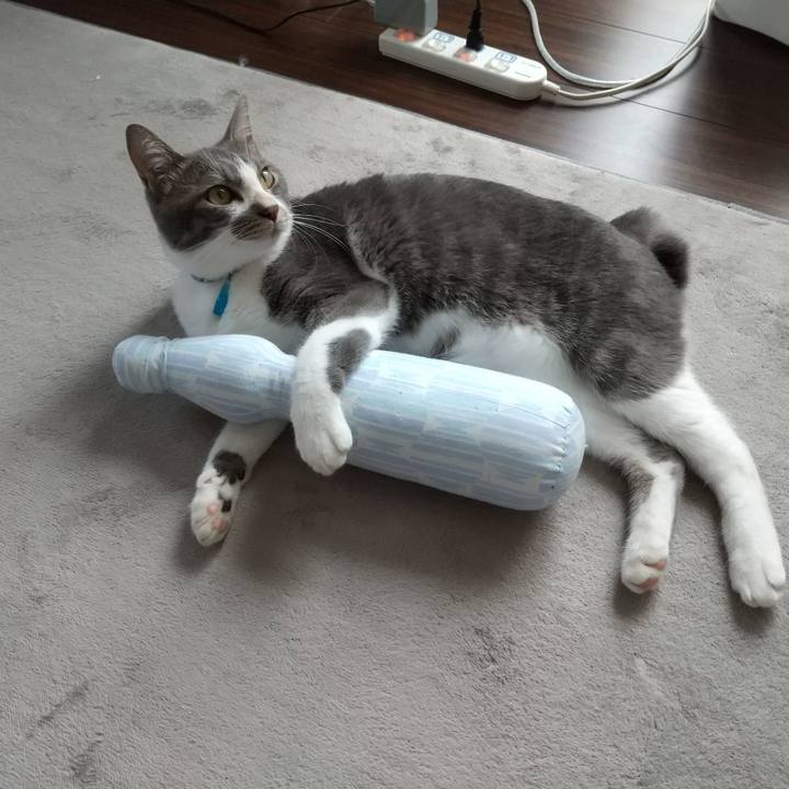 2b99302a 994e 4cd1 bb4b ba4703388e29 1598581995705