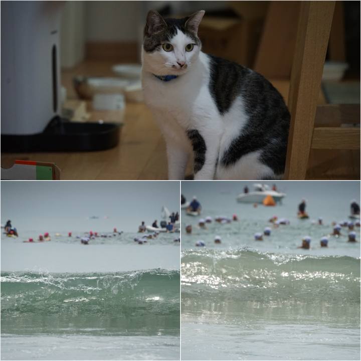 2b99cc2b 2a04 40e0 8428 58df5d557b7d 1531375715288