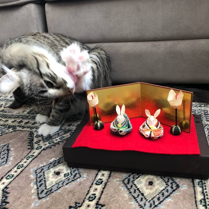 2b9a0995 4d57 4c2b 8858 280ab3d312d7 1519966238001