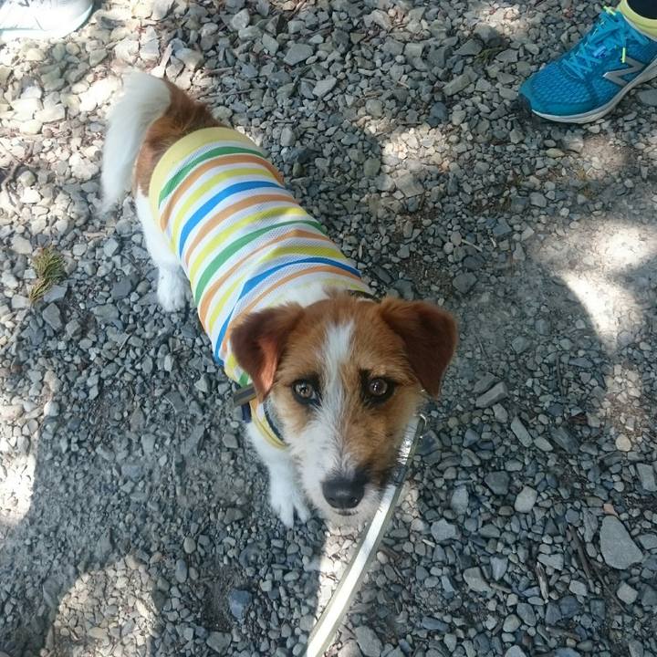 2b9a5748 8762 4b94 8a94 3bfd99a00441 1559999524459