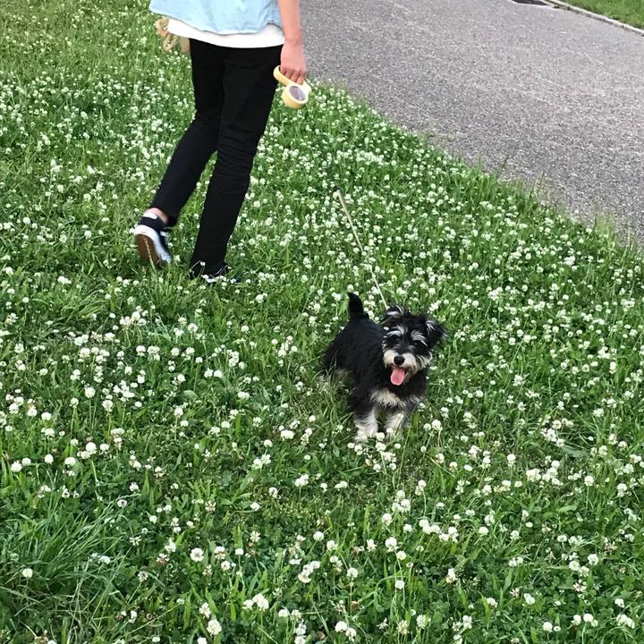 2b9a5eb5 f116 481a adeb 26ecbe6aa2db 1557667025054