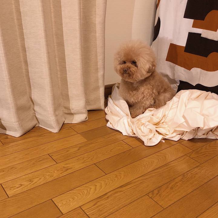 2b9a80b1 b9c6 44fd a0cb 72e3e5157262 1548154361719