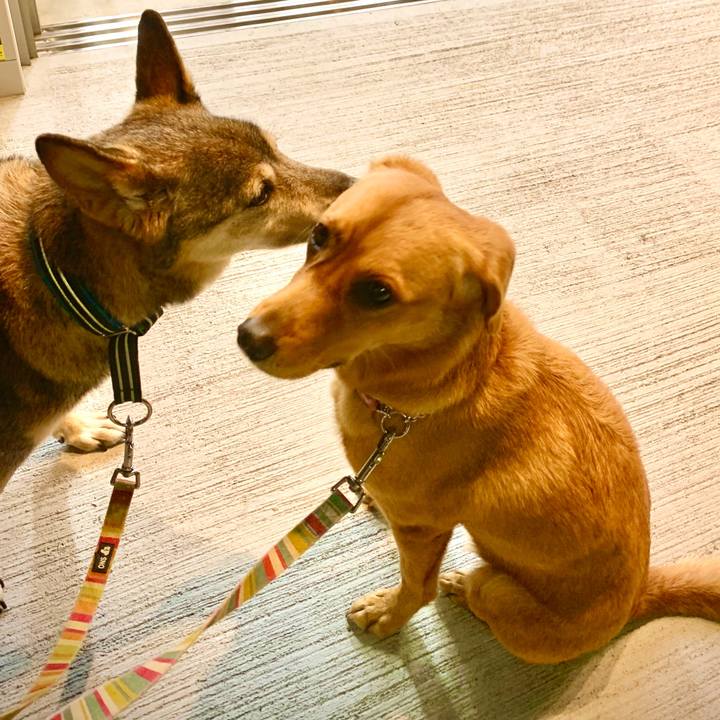 2b9aa139 0a18 42a3 9594 2d8c22e677b1 1571719130877