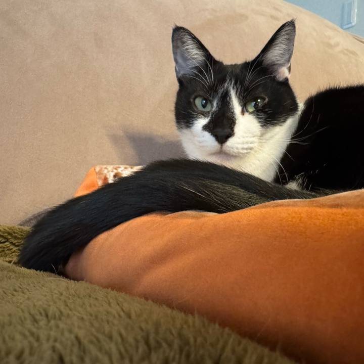 2b9ad1d4 7968 4d0a 8aae bdbd4e877366 1771900500431