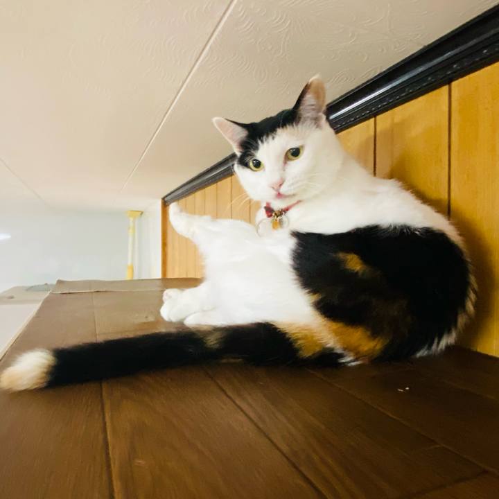 2b9aff7e 980b 4d9e aace 445f19fc39fb 1720477081797